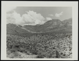 Northwest view of the Brownstone Canyon, Nevada: photographic print
