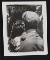 A photo of a cat, possibly "Happy": photographic print