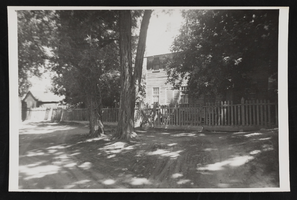 Dirt driveway around two trees with fence and house in background: photographic print