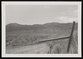 View of gate and landscape in Lida, Nevada: photographic print