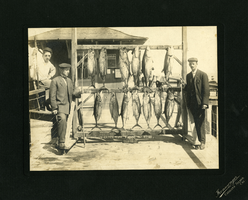 Rinker with fish at Catalina Island: photographic print