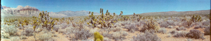 Red Rock Canyon National Conservation Area, Las Vegas, Nevada: panoramic photograph