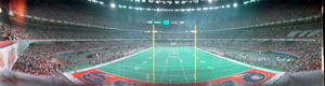 Super Bowl XXIV: San Francisco 49ers vs. Denver Broncos, New Orleans, Louisiana: panoramic photograph
