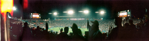 Super Bowl XXXIX: New England Patriots vs. Carolina Panthers, Jacksonville, Florida: panoramic photograph