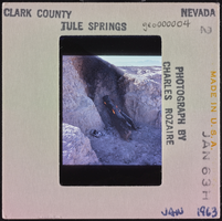 Photographic slide of a log, Tule Springs, Nevada, January 1963