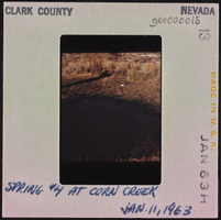 Photographic slide of spring at Corn Creek, Nevada, January 11, 1963