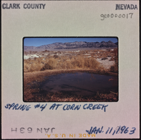 Photographic slide of spring at Corn Creek, Nevada, January 11, 1963