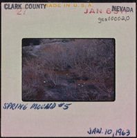 Photographic slide of a mound, Tule Springs, Nevada, January 10, 1963