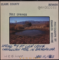 Photographic slide of a spring, Tule Springs, January 11, 1963