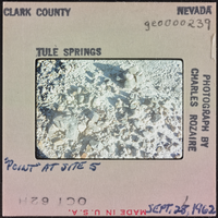 Photographic slide of rocks, Tule Springs, Nevada, September 28, 1962