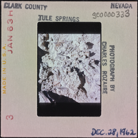 Photographic slide of excavation at Tule Springs, Nevada, December 28, 1962