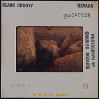 Photographic slide of a man inside Pintwater Cave, Nevada, circa 1964