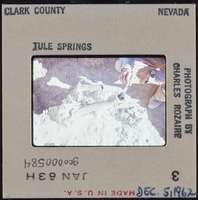 Photographic slide of bones at Tule Springs, Nevada, December 5, 1962