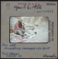 Photographic slide of a mammoth bone excavation site, Tule Springs, Nevada, April 6, 1956