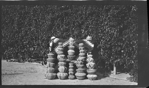 Photographic negatives of Helen J. Stewart's gardens and basket collection