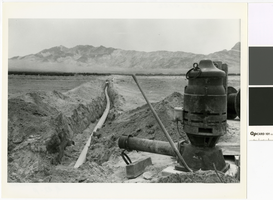 Photograph of irrigation pump and water line, Amargosa Valley, Nevada, 1980