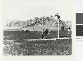 Photograph of a pivot watering system, Hank Record Ranch, Nevada, 1980
