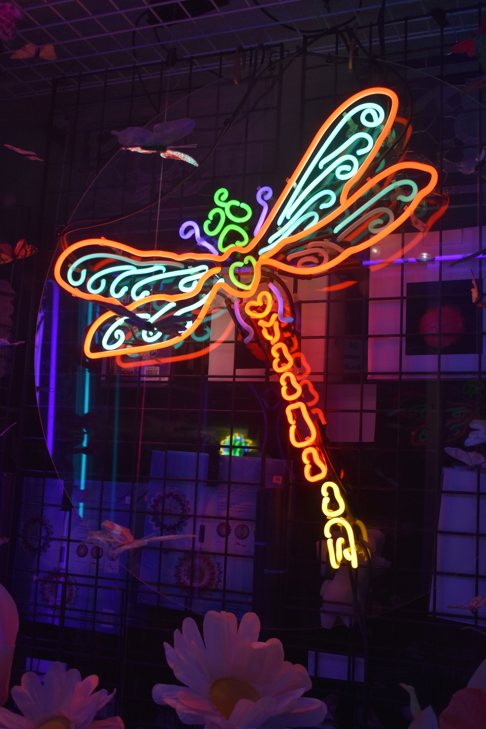 Dragonfly sign, Reno, Nevada