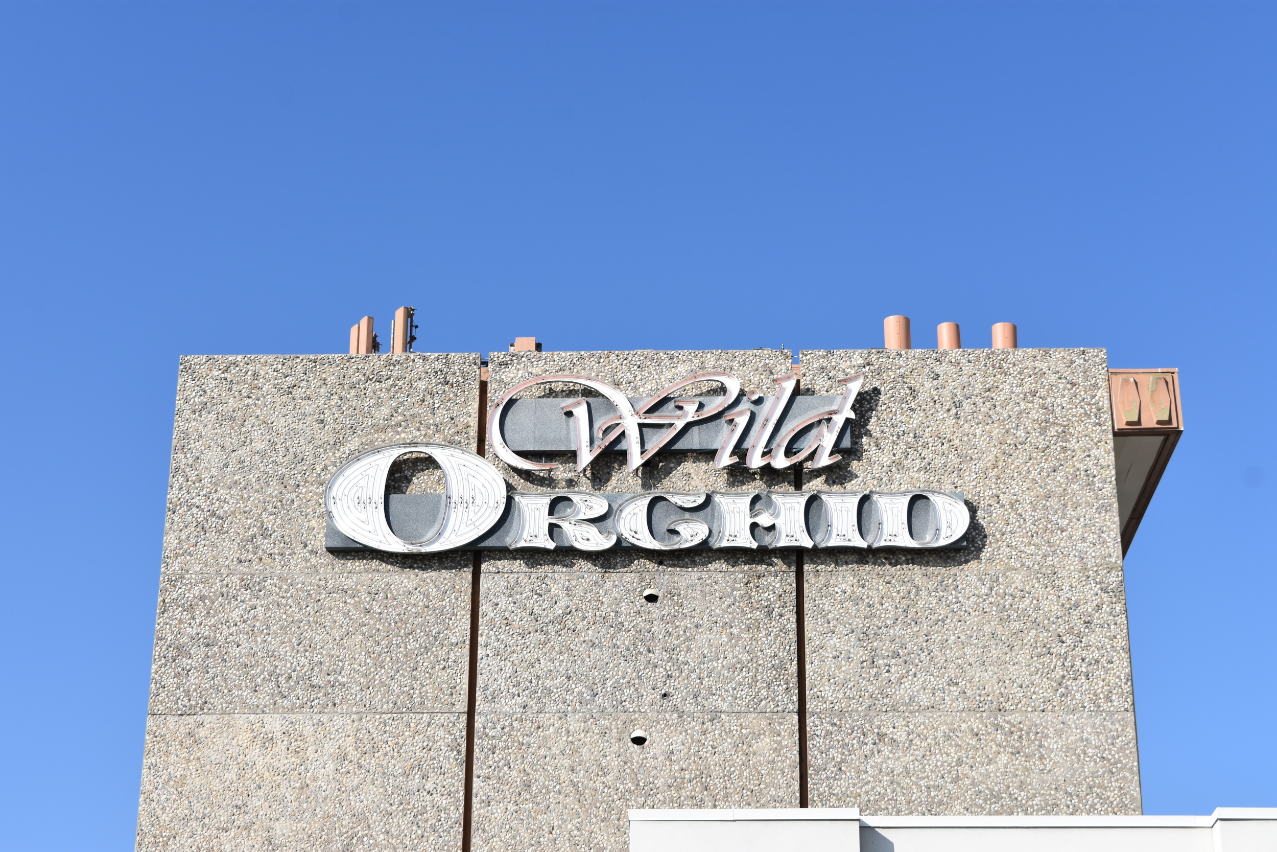 Wild Orchid wall mounted signs, Reno, Nevada