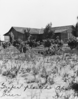 Original ranch house: photographic print
