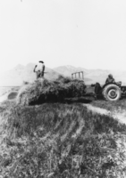 Hay wagon: photographic print