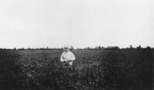 Young girl in the field: photographic print