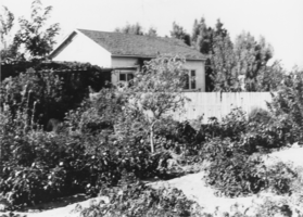 House and garden belonging to Gordon and Billie Bettles: photographic print