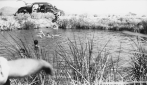 Swimming in Deep Spring, Ash Meadows, Nevada: photographic print