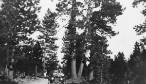 Margaret Garner driving at Lake Tahoe: photographic print