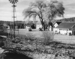 Cabins located on the Yount Ranch: photographic print