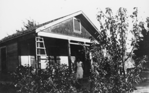 Lottie Mills on the front porch of her home on Main Street, Beatty: photographic print