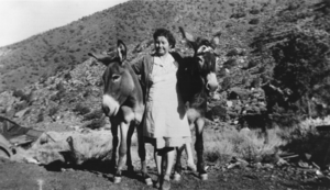 Lottie Mills, mother of Chloe Lisle, with two pack burros, Panamint City, California: photographic print