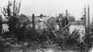 Looking west at the yard of Lottie Mills, mother of Chloe Lisle, Beatty, Nevada: photographic print