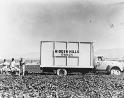 Truck, farm workers, and melons grown on Roland Wiley's ranch, Pahrump Valley, Nevada: photographic print