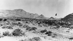 Panoramic view of Rhyolite, Nevada: photographic print