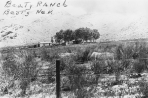 View of Beatty Ranch located on the northeast side of Beatty: photographic print