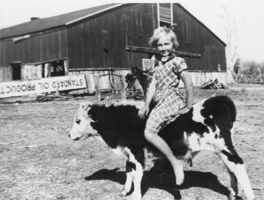 Betty Jean Hughes riding a calf: photographic print