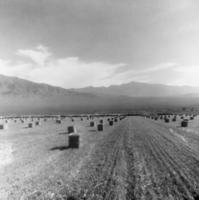 View of Simkins Ranch: photographic print