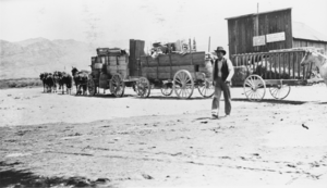 Team and freight wagons, perhaps at the town of Johnnie, Nevada: photographic print