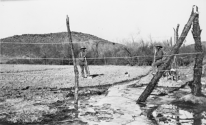 Irrigation at the Resting Spring Ranch near Tecopa, California: photographic print