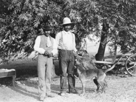 Two unidentified men and dogs: photographic print