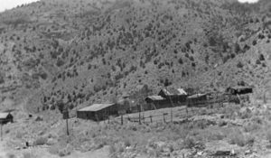 Old ranch buildings at Tybo, Nevada occupied by a man named Constant: photographic print