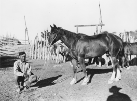 Joe Fallini and his horse at Eden Creek, Nevada: photographic print