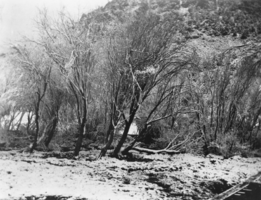 Orville Knighten Reed's ranch at Hawes Canyon, Nevada during a snowstorm: photographic print