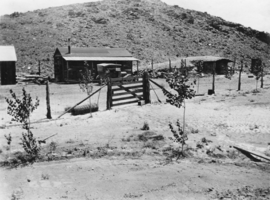 Ed Reed's home at Cedar, at the end of Cedar Pipeline near the south end of Kawich Mountains: photographic print