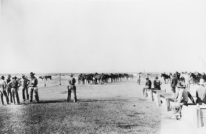 Horses being gathered for the round-up, No.1 well in Stone Cabin Valley, Nevada: photographic print