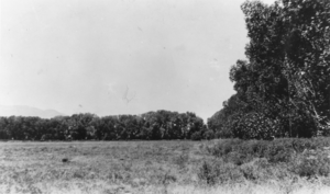 View of Irwin Ranch: photographic print