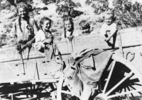 Frank Robert's wood wagon: photographic print