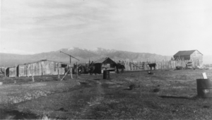 Outbuildings and corrals located on the Carver Ranch, Nevada: photographic print