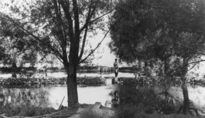 Fish ponds located on the Carver Ranch, Nevada: photographic print